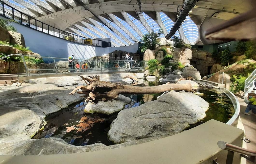 https://res.cloudinary.com/see-sight-tours/image/upload/v1749554473/strapi/Biodome1_0aa8818e23.jpg