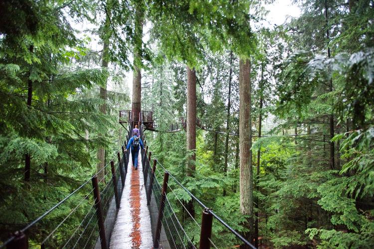 Capilano Suspension Bridge - Main image 1