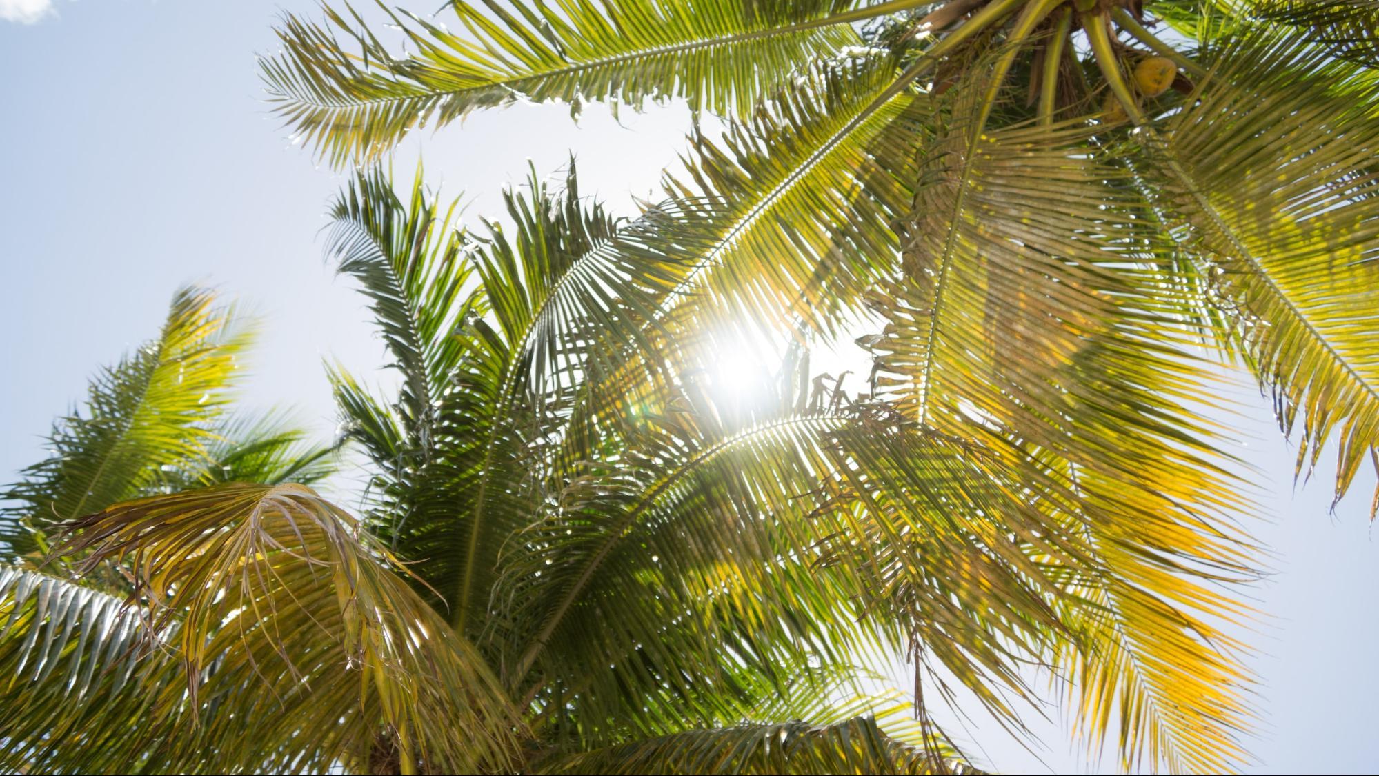 Explore Hidden Gems in Miami .jpg