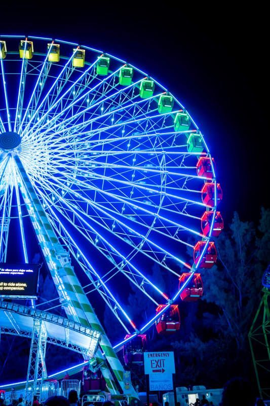 Scenic Miami Night Tour image 1
