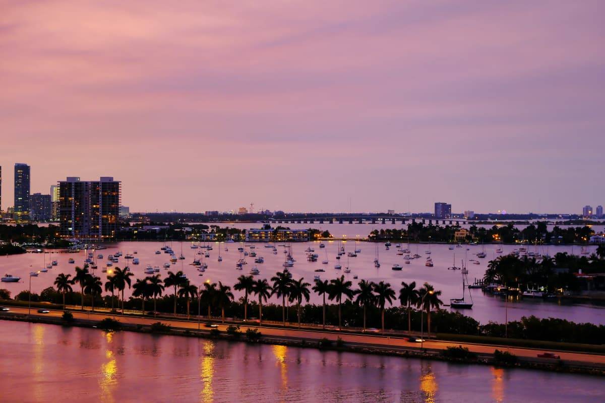 Scenic Miami Night Tour image 3