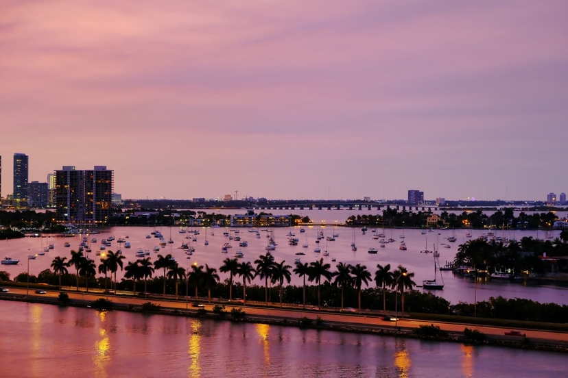 https://res.cloudinary.com/see-sight-tours/image/upload/v1643384420/strapi/Miami_bay_night_2_unsplash_4efbbcb41e.jpg