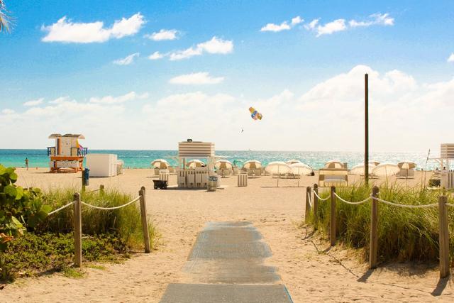 Best Things to Do on a Day Trip to Miami Florida - See Sight Tours