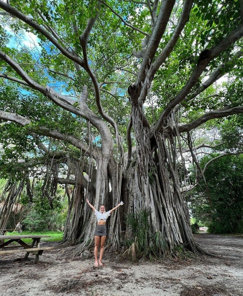 https://res.cloudinary.com/see-sight-tours/image/upload/v1667218795/strapi/Birch_State_Park_bb6646f8dc.jpg