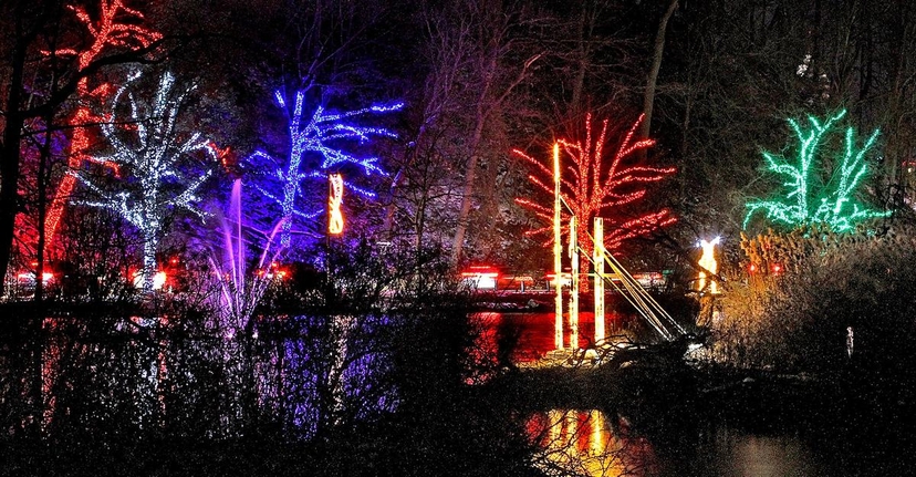 https://res.cloudinary.com/see-sight-tours/image/upload/v1668176800/strapi/5_Festival_of_Lights_Drive_by_6a775a50de.jpg