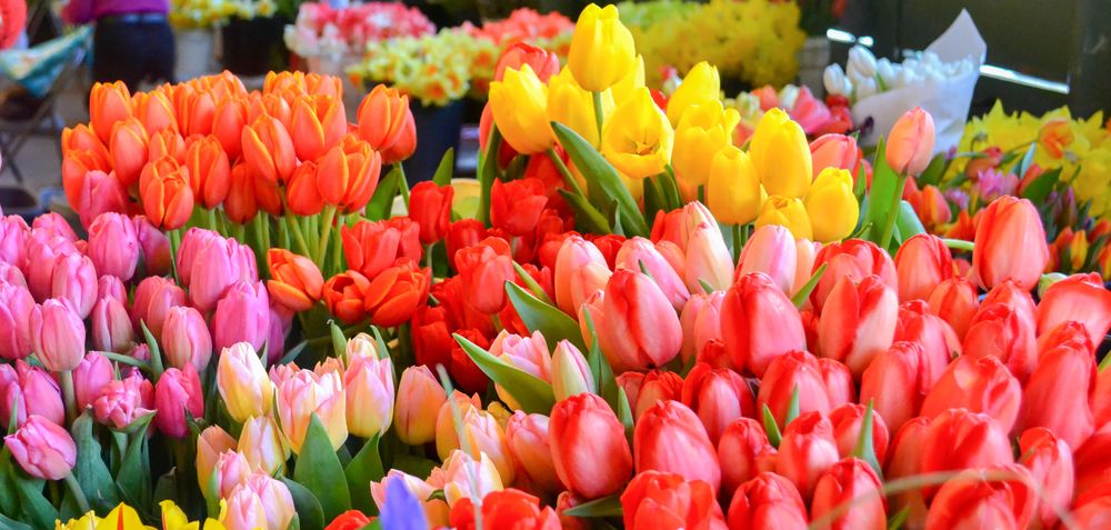 Pike Place Market Food Tour image 1