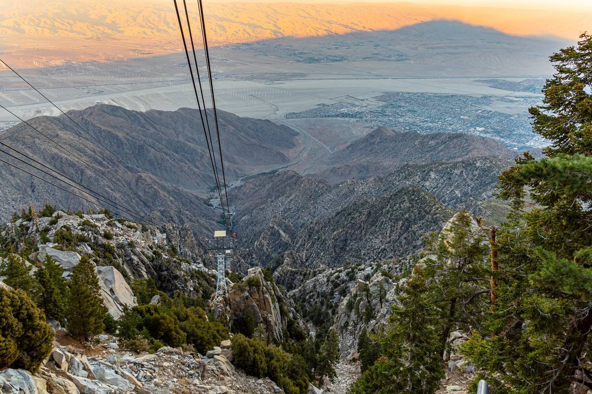 Best of Palm Springs Small Group Tour w/ Aerial Tram image 3