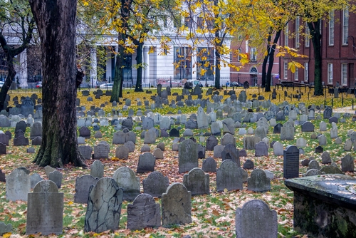 https://res.cloudinary.com/see-sight-tours/image/upload/v1730895207/strapi/shutterstock_571987927_1a20dca251.jpg